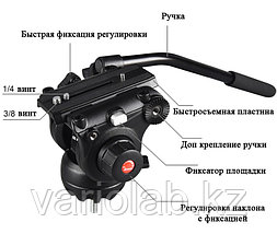 Штатив(Трипод) Caisi Dv1800D, фото 5