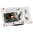 Подставка для книг СТАММ, металлическая, с упором, чёрная, фото 8