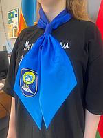 Шарфы с логотипом