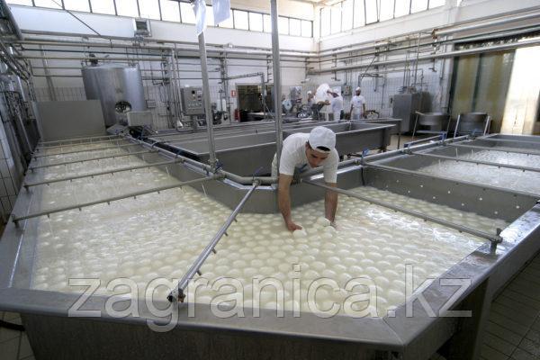 Контракт на 3 года. Требуются мужчины для работы на заводе производства сыра  Mozzarellf