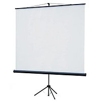 Экран для проектора на штативе 2438х1830 мм