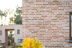 Кирпич облицовочный полнотелый Nelissen Nomina N70/5, 240х70х50 мм