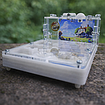 Почему лучше выбрать гипсо-акриловый формикарий для содержания муравьёв?