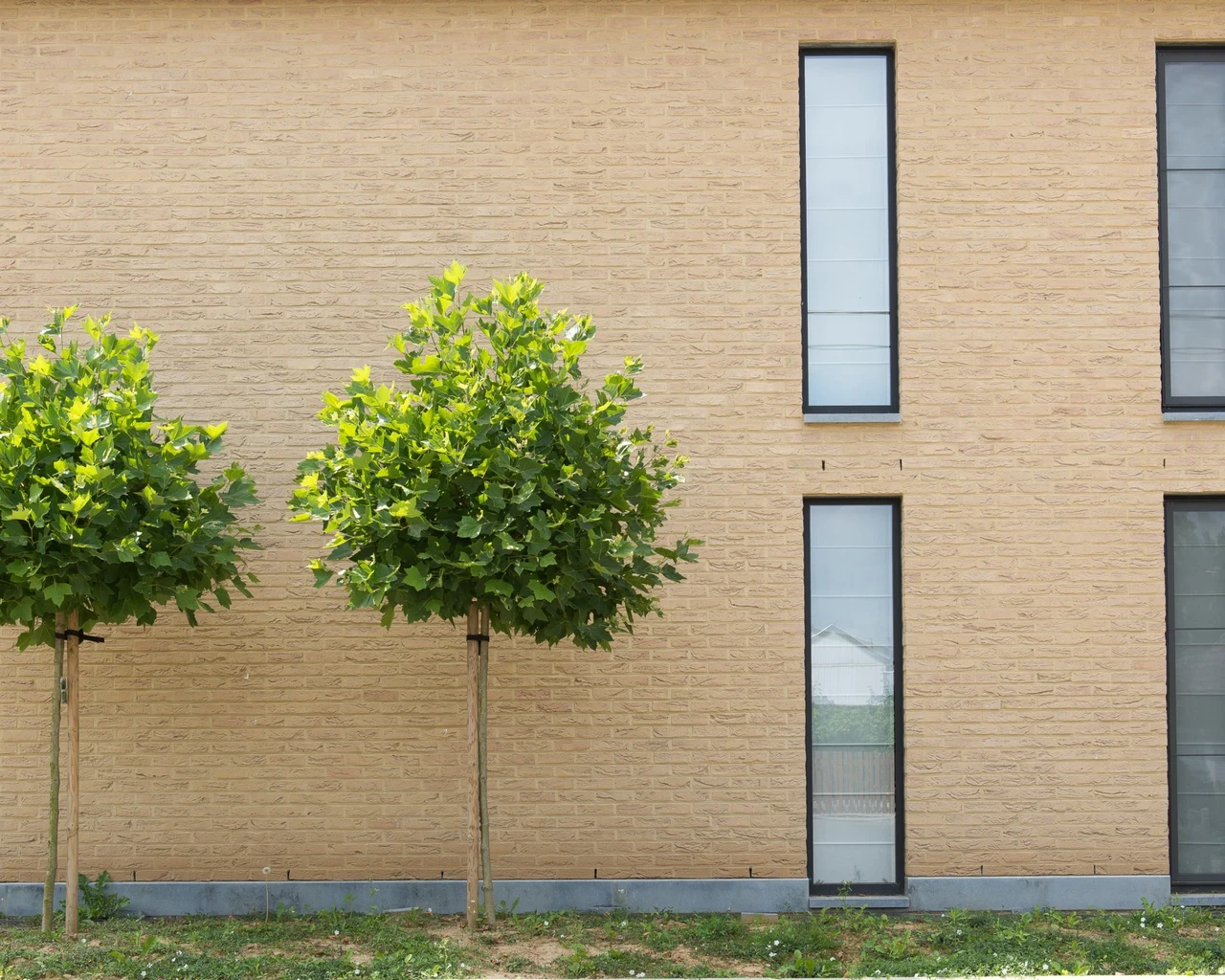 Кирпич облицовочный полнотелый Nelissen Rubio MOD50, 190х90х50 мм, фото 1