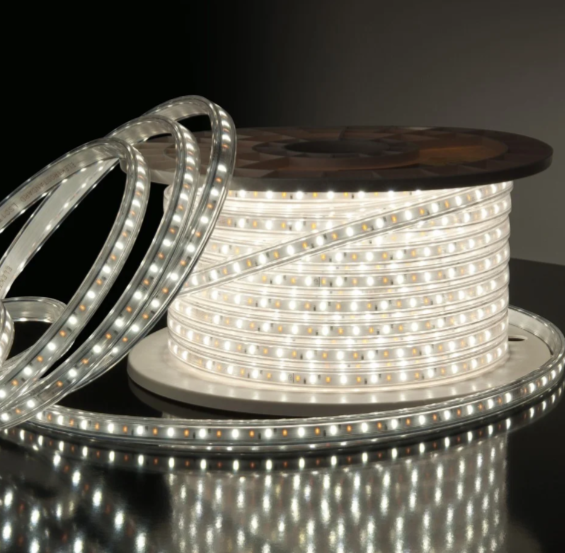 Светодиодная лента 110SMD 6500K IP65 PROSVET (бухта 100м), фото 1