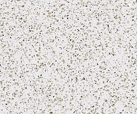 Плитка из керамического гранита CM00