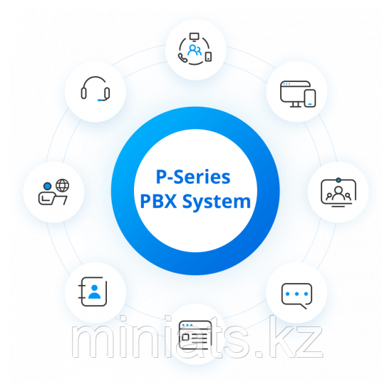 P570 Ultimate License, фото 1