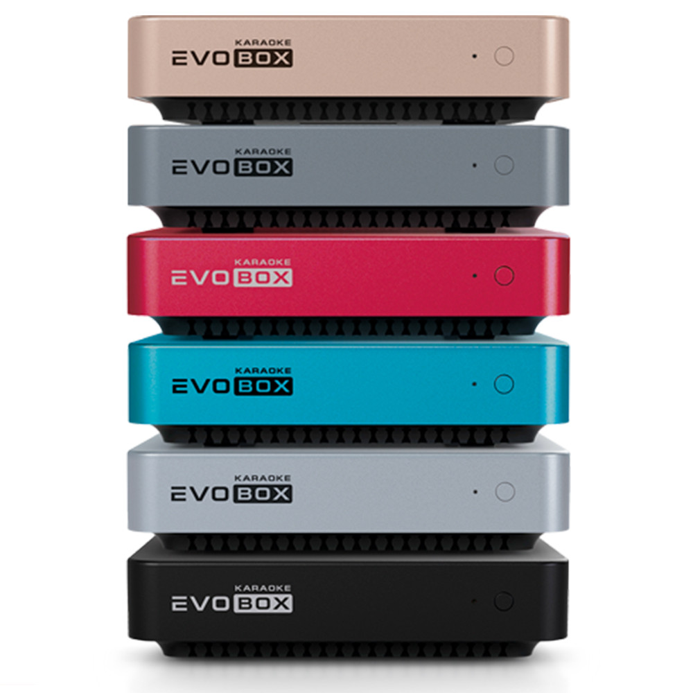 Профессиональная караоке-система Evolution Evobox