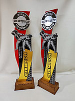 Спортивные кубки и трофеи на заказ