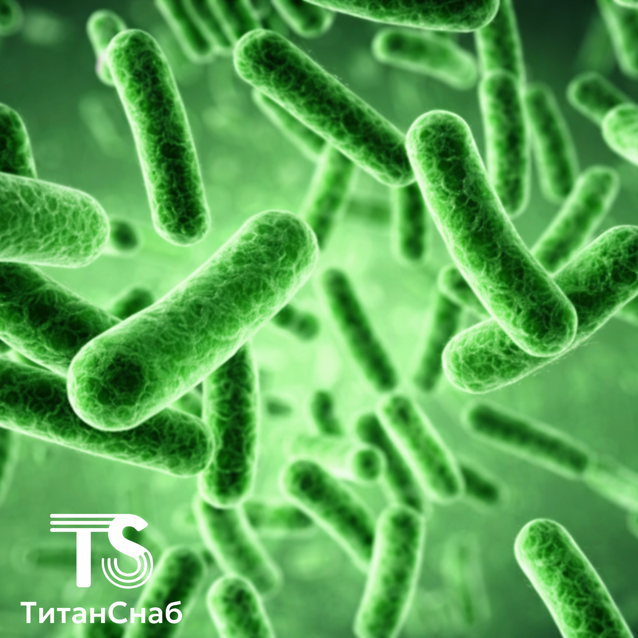 Биоцид TS-BIOCIDE  T-14, фото 1