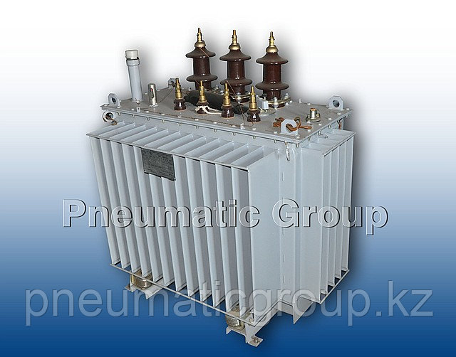 Трансформатор ТМ 63 20/0,4 У1, фото 1