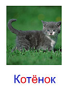Полный комплект(набор) развивающих карточек по методике Г.Домана 17285975 Полный комплект(набор) развивающих карточек по методике Г.Домана