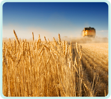 Видеосъемка 4K в Алматы, коммерческая, постановочная и репортажная! 100% Результат!