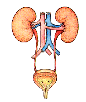 Аннета Франческа порно Свингерлердің секс видеолары