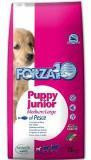 Forza10 Maintenance Puppy Junior M/L корм для щенков средних и крупных пород (рыба), 15кг 17023 Forza10 Maintenance Puppy Junior M/L корм для щенков средних и крупных пород (рыба), 15кг