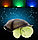 Ночник - проектор "Черепаха" звездное небо, фото 2