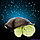 Ночник - проектор "Черепаха" звездное небо, фото 3