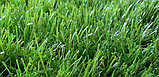 Искусственный газон монофиламент 40мм, фото 2