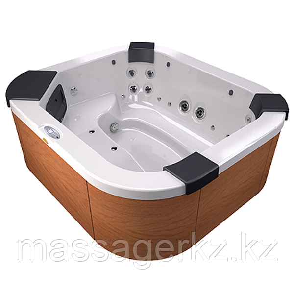 Гидромассажный спа бассейн Jacuzzi Delos Pro