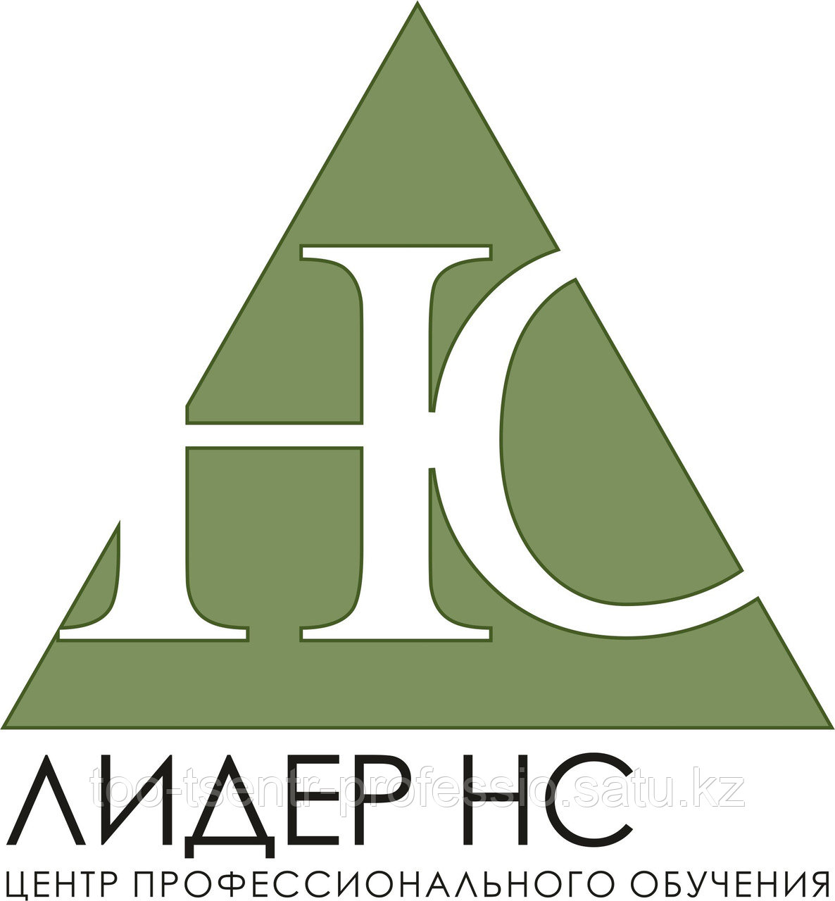 Репетиторство по казахскому языку онлайн