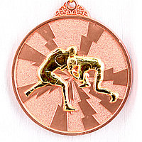 Медаль рельефная БОРЬБА (бронза)