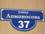 Домовые знаки , фото 6