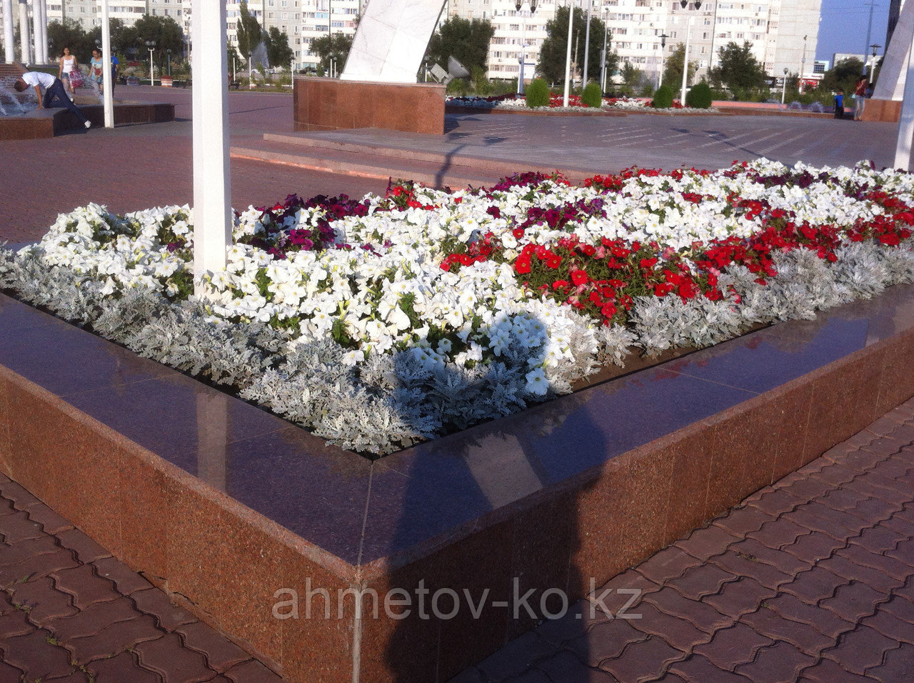 Расада цветов в Казахстане