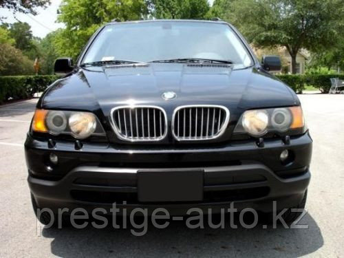 Ноздри Хромированные на BMW X5 E53 2000-2003 - фото 2 - id-p21443456