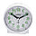 Настольные часы-будильник Casio (TQ-228-7), фото 2