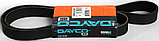 Dayco-8PK1420HD Ремень поликлиновой, фото 3