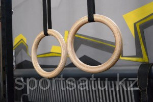 Кольца гимнастические профессиональные