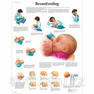 Лесби құлдары орыс қожайын