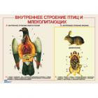 Плакаты "Биология. Животные." (ф.А1, 23 шт., на рус.яз.,  лам.)
