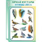 Папка-комплект "Орман құстары-Птицы леса" 