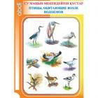 Папка-комплект "Су маңын мекендейтін құстар-Птицы, обитающие возле водоемов" 