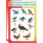 Папка-комплект "Үй құстары мен Жабайы құстар- Домашние и Дикие птицы" - фото 1 - id-p22212553