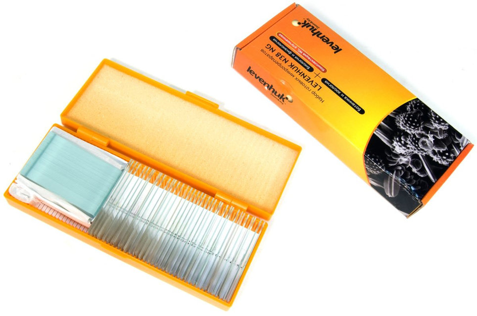 Жас қынаптың жақыннан жасалған фотосы