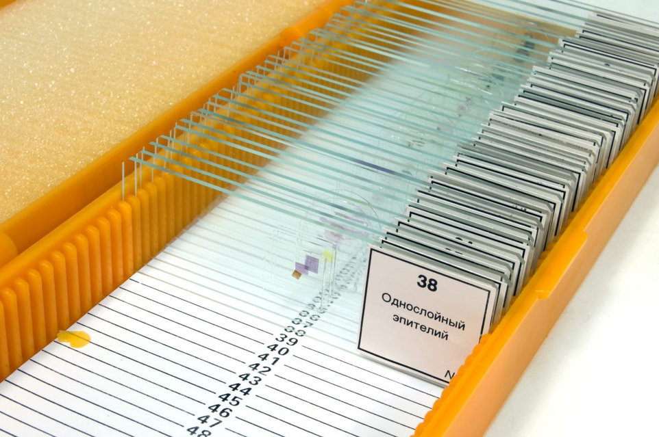 Порно атақты Дана Борисова порно видео