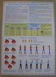 Плакат "Меры безопасности в работе с персональным компьютером "  комплект - 2 плаката, фото 2