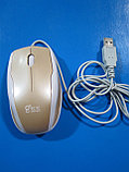 Мышка USB Gonwin LS 017,Алматы, фото 2