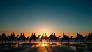 «Тунис — арабская страна с французским шармом» тур путевки