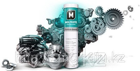 Molykote MULTILUB