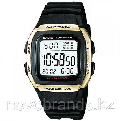 Спортивные наручные часы Casio W-96H-9A