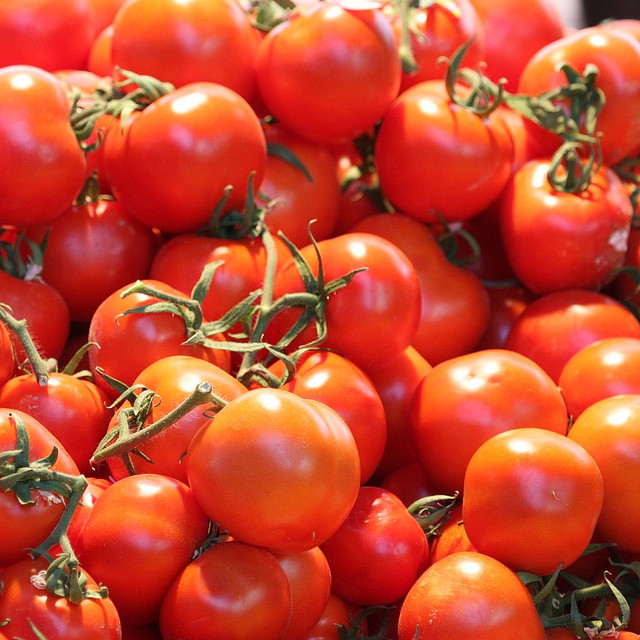 Купить помидор (свежий) оптом в Украине
