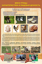 Плакаты Обработка птицы