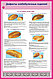 Плакаты Дефекты хлебных изделий, фото 3
