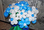 Цветы из шаров, букеты из шаров в Павлодаре, фото 2