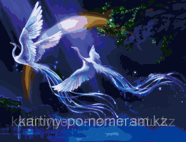Картины по номерам, цифрам - Алматы, "Сказочные птицы"