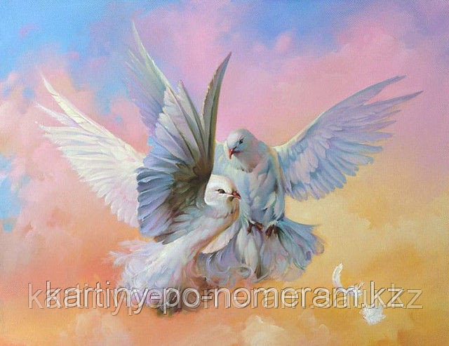Картины по номерам - Алматы, "Голуби"