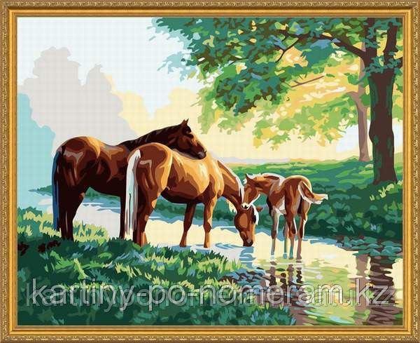 Картины по номерам - Алматы, "Лошади у реки 50x65"